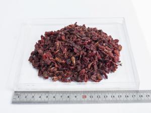 山茱萸